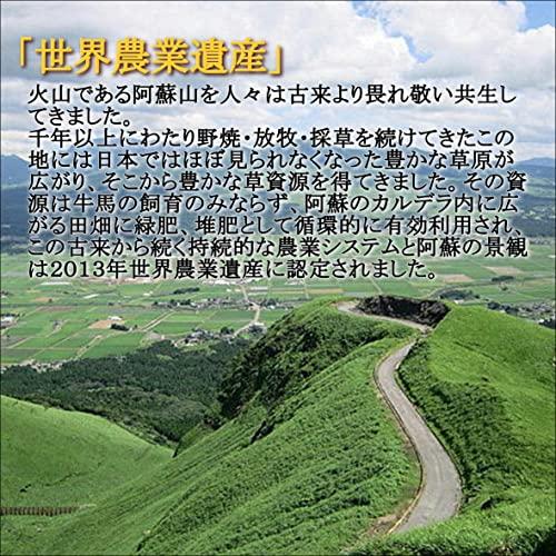 新米 無洗米 令和5年産 ＪＡ阿蘇 特別栽培米こしひかり 5kg