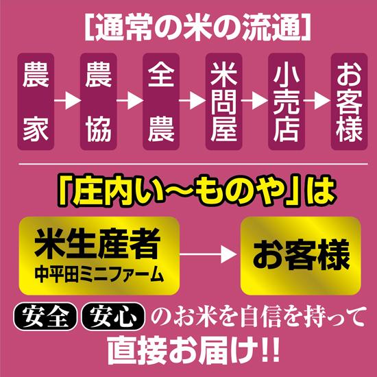 農家のお米直送 令和5年産 はえぬき（精米） 10kg