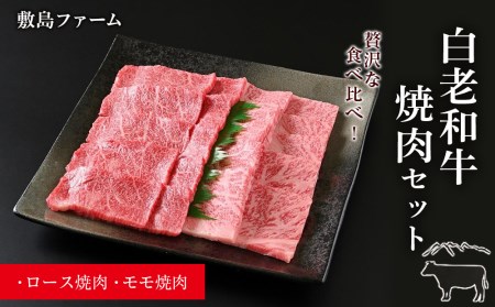 白老和牛焼肉セット《敷島ファーム》