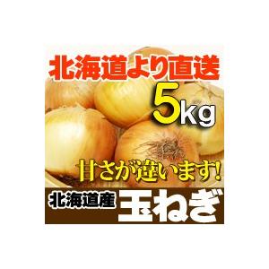 たまねぎ 北海道産 5kg L〜2Lサイズ 送料無料 玉ねぎ 野菜 ギフト お取り寄せ 産直 野菜 玉葱 秋の味覚