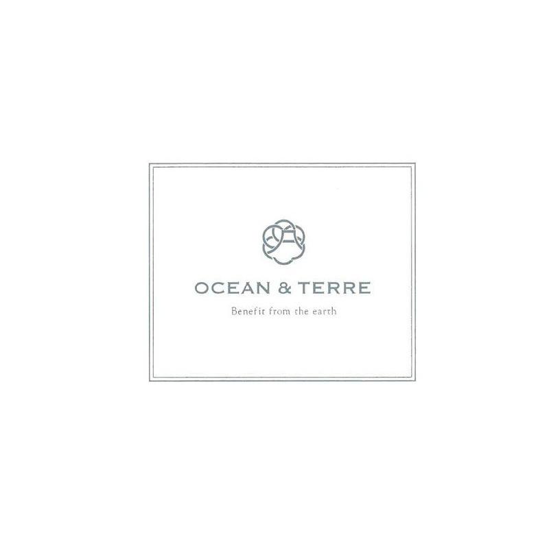 ギフト プレゼント おしゃれ 甘いもの以外 贈り物 スープ 親戚 上司 OCEAN ＆ TERRE フリーズドライ野菜スープセットB