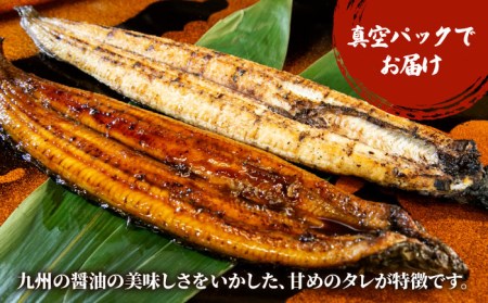 国産うなぎ 蒲焼き 12尾鰻 ウナギ[HBV004]