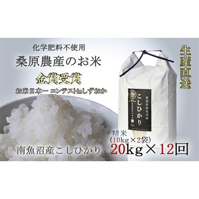 ふるさと納税 南魚沼市 桑原農産のお米　コシヒカリ10kg袋×2 全12回