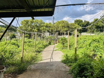 新社鄰近中和街大片農地有水有電附度假小屋｜台中市新社區永興段