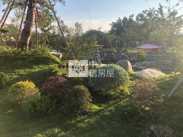 樂福南投竹山園藝造景農地｜南投縣竹山鎮前山段