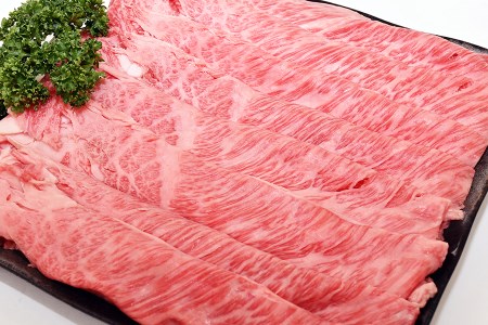 飛騨牛 A5 等級 肩 ロース（ 500g ）すき焼き ・焼肉 用 肉のかた山 牛肉 M23S02