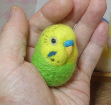 虎皮鸚鵡 綠色 OPALINE ★磁鐵/胸針任選 羊毛小鳥 接單訂製 羊毛氈 可更改鼻色