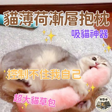 【超大貓草包貓咪無法擋】毛絨貓草包 多功能 毛絨 漸層抱枕 玩具 啃咬 貓薄荷 逗貓棒 磨牙棒 自嗨 靜音 貓玩具 貓枕