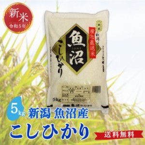 令和5年度産 新米 魚沼産 こしひかり 5kg  送料無料 新潟県 お米 5キロ