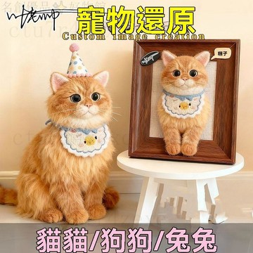羊毛氈客製 仿真寵物定製 紀念 貓咪客製 狗狗客製 相框裝飾 手工訂製 定製寵物 客製小鳥 客製老鼠 客製鸚鵡 客製兔子