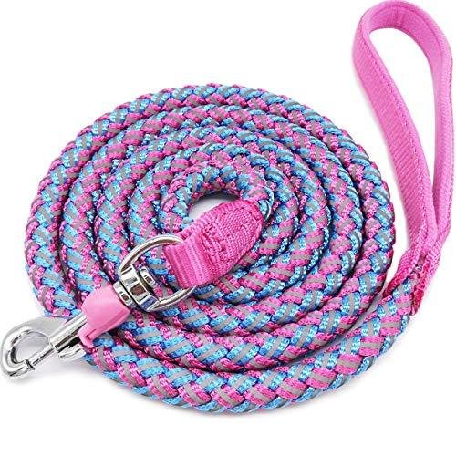 Mountain climbing outlet dog leash