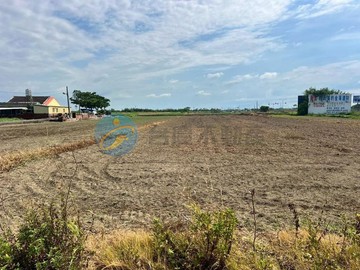 獨家 七股台17線省道便宜農地  -賴薇渟 ｜台南市七股區十一份段