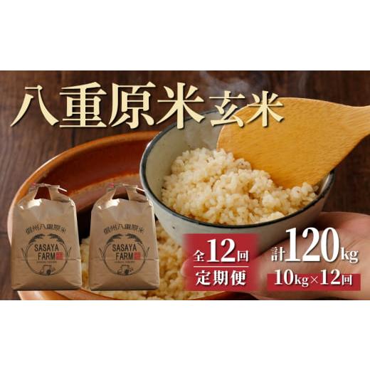 ふるさと納税 長野県 東御市 八重原米10kg（5kg×2袋）玄米