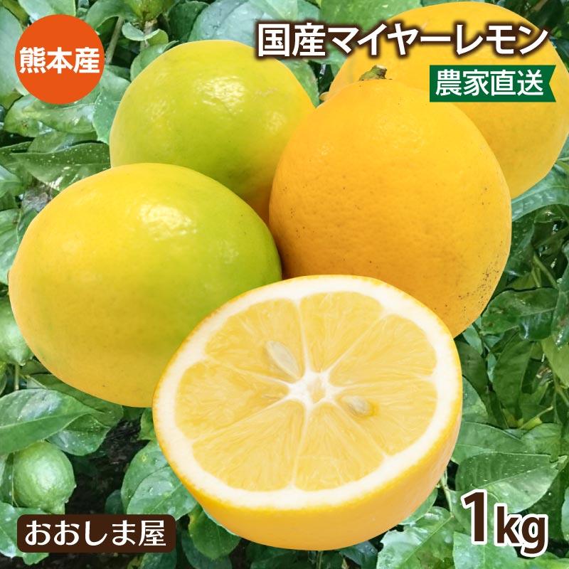 マイヤーレモン レモン 国産 1kg 送料別  ＜現在2023年10月上旬より順次出荷予定＞  減農薬 ノーワックス 防カビ剤不使用 産地直送 おおしま屋