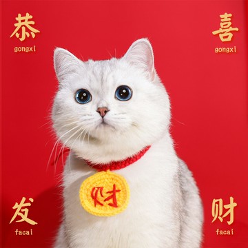 貓咪項圈寵物新年針織毛線圍脖可愛布偶幼貓脖圈小狗狗編織裝飾品