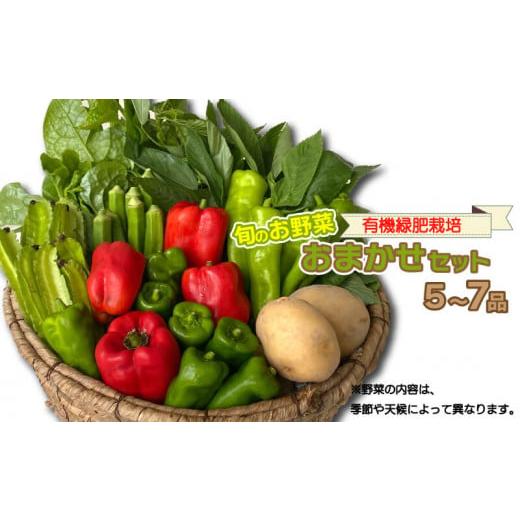 ふるさと納税 香川県 さぬき市 旬のお野菜おまかせセット 5〜7品