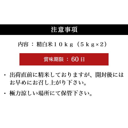 ふるさと納税 佐賀県 唐津市 特別栽培米  唐津市天川産 こしひかり 5kg×2 (合計10kg) 減肥減農薬で育てた特別栽培米をお届け たんぱく質が少なく食…