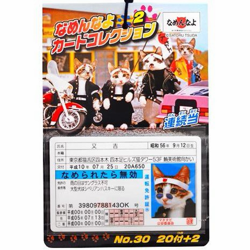 なめ猫　免許証　25周年記念　限定 Amazon.co.jp: なめ猫 免許証 25周年記念 限定 : ペット用品