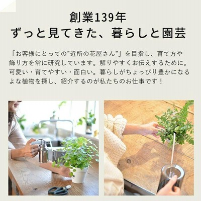 鉢 植木鉢 屋外 鉢カバー 大型 おしゃれ 大型スクエア植木鉢（45cm