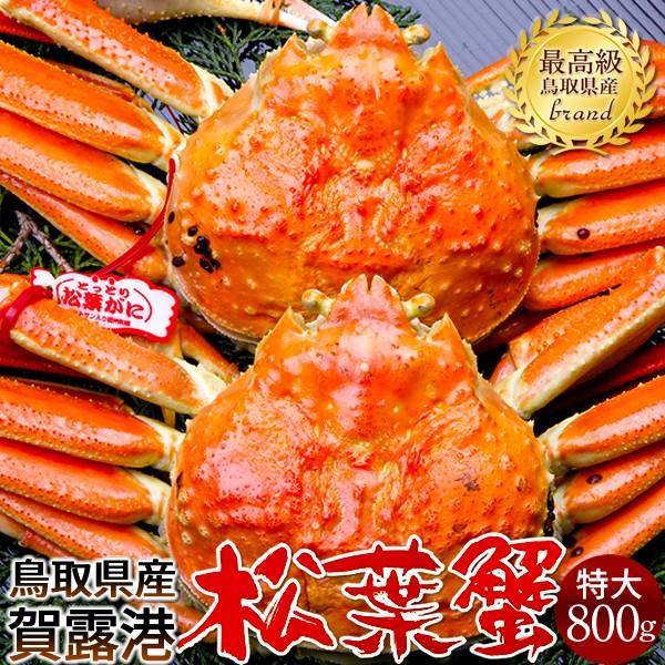 松葉ガニ タグ付き 松葉蟹［特大］800g×2尾 ゆで蟹 ボイルまつばがに 新物 鳥取県産 浜茹で マツバガニ 日本海ズワイガニ［お歳暮 2023 ギフト 御歳暮］