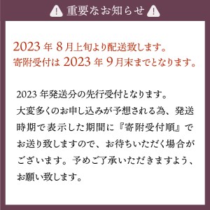 〈2024年度配送分〉Inakakara「特秀品シャインマスカット」2房