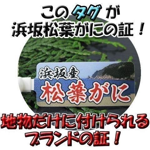 地物 (ゆで) 松葉がに 2〜3枚 約1.8kg〜2.0kg　 