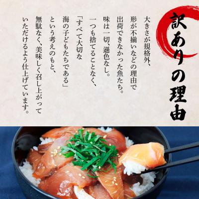 ふるさと納税 田野町 これが魚屋の漬け丼だ!〜ハマチ〜 《訳あり》 80g×5P