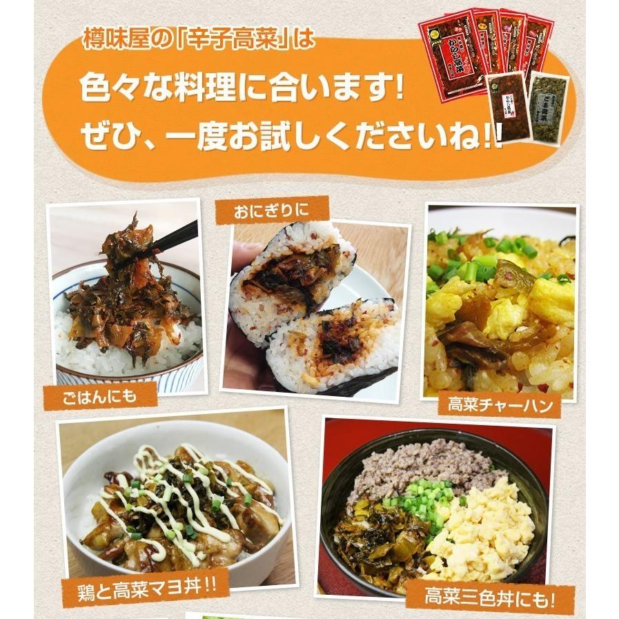 からし高菜 樽味屋 辛子高菜 ポイント消化 高菜漬