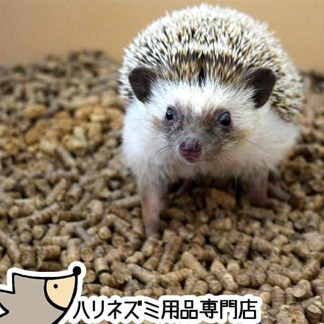 マルカン　ふわふわベッド　お徳用　１２Ｌ×５袋　うさぎ　ハムスター　床材　お一人様１点限り