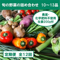 旬の野菜と栽培期間中農薬不使用の生姜付き全12回