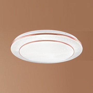 LED48W 三色切換吸頂燈 F37-21-91893