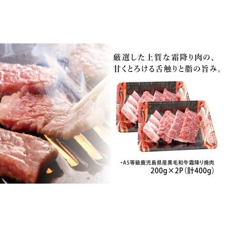 ふるさと納税 A5等級 黒毛和牛 霜降り焼肉用 400g 牛肉 焼肉 BBQ お肉 小分け 冷凍 カミチク 南さつま市 鹿児島県南さつま市