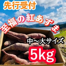 栽培期間中、農薬・化学肥料不使用　ホクホク甘～い『至福の紅あずま』5kg(中～大サイズ)