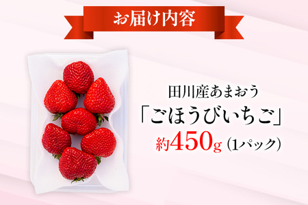 あまおう『ごほうびいちご』田川産あまおう 450g ＜2024年1月以降順次発送予定＞ あまおう いちご 苺 大粒 フルーツ 果物 お取り寄せ ご当地グルメ 福岡土産 取り寄せ グルメ 福岡県 食品