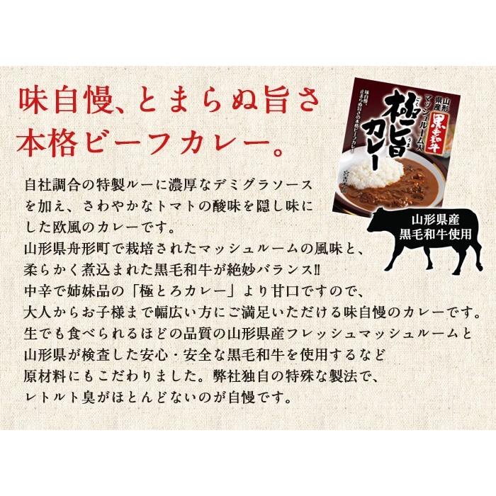 (カレー レトルト 詰め合わせ)宮香本舗 黒毛和牛 極とろカレー極旨カレー 詰合せBセット(レトルトカレー ギフト)