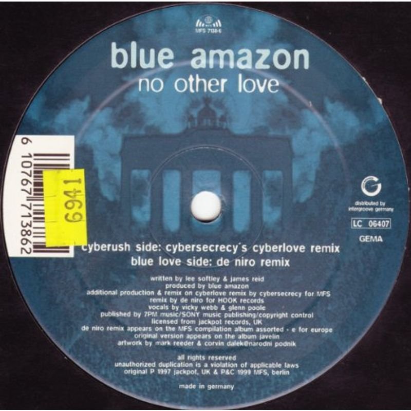 No Other Love 12 inch Analog