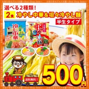 500円 冷やし中華 冷やし 坦々麺 半生 麺 タレ つゆ セット 送料無料 選べる 2種類 2人前 お試し 醤油 花椒 インスタント 人気 本格 簡単