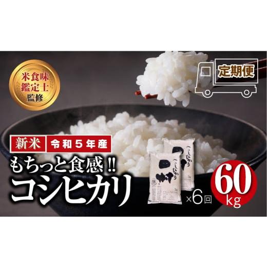 ふるさと納税 福島県 田村市 ＼定期便6回／ 田村産 コシヒカリ 1俵 60kg 10kg ずつ 6回 配送ギフト 贅沢 のし対応 １週間以内発送 福島 …