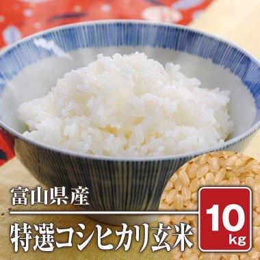 富山県入善産 特選コシヒカリ(令和4年) 10kg