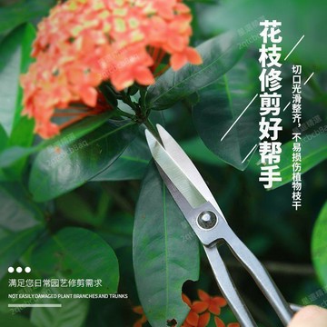 免運費⭐家用高檔葉芽剪鋒利花園藝手工修花剪刀盆景造型樹枝園林修枝剪刀
