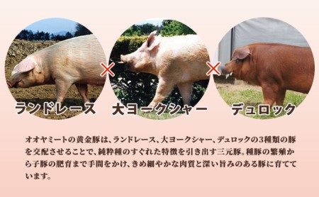 北海道 定期便 3ヵ月連続3回 豚ひき肉 普通挽き 200g 11パック 伊達産 黄金豚 三元豚 ミンチ 挽肉 お肉 小分け ハンバーグ 餃子 そぼろ 大矢 オオヤミート 冷凍 送料無料