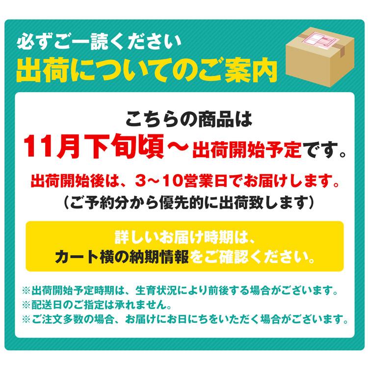 サンふじ 王林 青森県産 食べ比べ りんご6玉＆りんごジュース2本 贈答用 りんご 100%ストレート 産地直送 指定日不可 同梱不可 産直