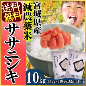 ササニシキ 10kg 減農薬米 宮城県産ササニシキ10kg(5kg×2袋) 令和5年産 こめ 10キロ ささにしき 送料無料  安い おいしい