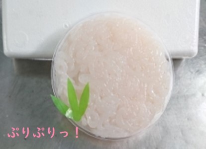 シロエビの刺身200g