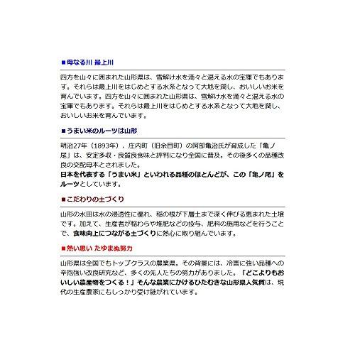  令和3年 山形県 庄内産 はえぬき 一等米 3分づき お米 10kg （5kg×2袋） 特別栽培米