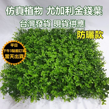 嘉義市現貨 防曬防水款 抗UV仿真植物牆 植栽牆✅仿真植物  加高加密尤加利 店面裝飾 牆面裝飾