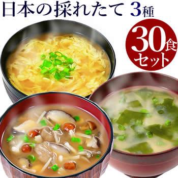 味噌汁 フリーズドライ ギフト 日本の採れたて お味噌汁30食セット 食品 野菜 の具 インスタント 父の日 お中元 贈り物  内祝い お返し 高級 お歳暮