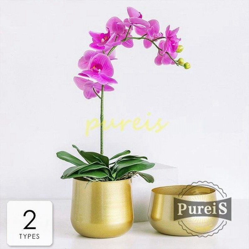 植木鉢 花瓶 プランター おしゃれ 鉢植え 花 栽培 プレゼント ギフト 母の日 通販 かわいい ガーデニング ゴールドベーシック ナチュラル 都会的 通販 Lineポイント最大get Lineショッピング