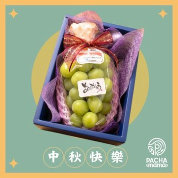 【帕查嬤嬤】日本 長野須高《濃郁荔枝香氣》麝香葡萄 一房禮盒｜日本麝香葡萄禮盒