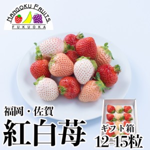 福岡・佐賀産紅白いちごギフト箱(12～15粒)